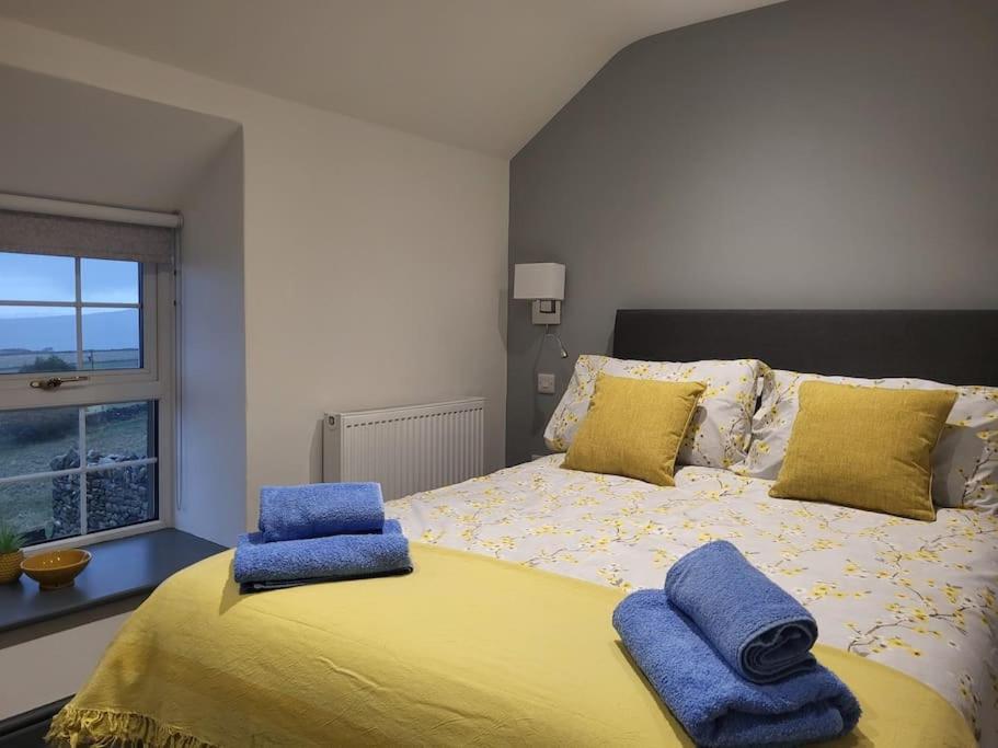 Holiday home Amazing Coastal & Sunset Views In Eryri